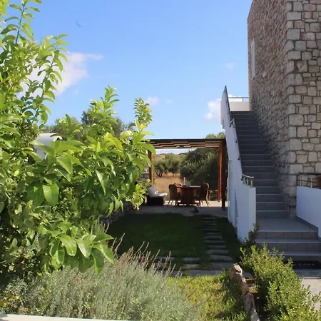 Stone Apartament *